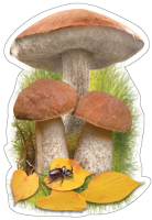 Украшение Гриб подберезовик двухстороннее А7 М-17004