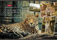 Альбом для рисования 48 л А4 скоба Ассорти 100 гр/м2