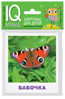 Карточки умный малыш Насекомые 17 цветных карточек