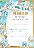 Благодарность Родителям за хорошее воспитание сына 170гр 50000537
