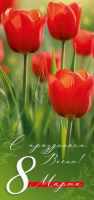 Открытка евро С праздником Весны! 8 Марта! без текста (красные тюльпаны) 204*97 мм 30001714
