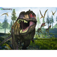 Пазлы 100 деталей Тираннозавр 3D T-rex