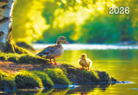 Календарь 2026 квартальный 190*460 Уточки 9238