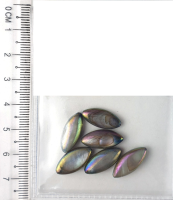 Бусина Natural 6 шт, 15 мм, натуральная ракушка, перламутр