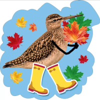 Украшение на скотче Кулик в сапожках 150*150 мм 079.409