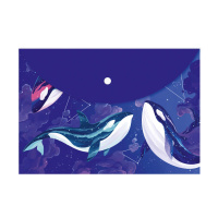 Папка-конверт А4 кнопка пластик Созвездие киты 65849