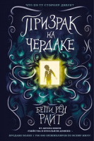 Райт Дом теней Кн2 Призрак на чердаке