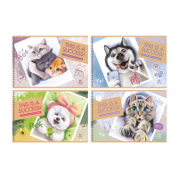 Альбом для рисования 40 л А4 гребень Лучший кадр 100 гр/м2 10894