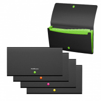 Папка-портфель евро 12 отд кнопка ErichKrause Matt Accent