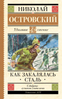 Школьное чтение Островский Как закалялась сталь