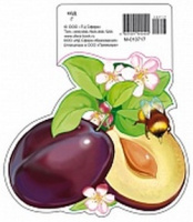 Открытка мини Сливы 190*160 М-010717