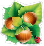 Открытка оформительская на скотче Орехи с листьями 3000514