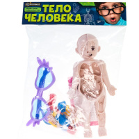 Опыты анатомия Тело человека IQ эксперимент 380346