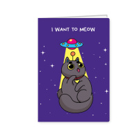 Обложка на паспорт НЛО 8297