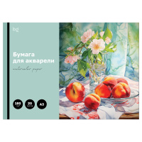 Папка для акварели А3 20 л Натюрморт BG 180 гр/м2 60206