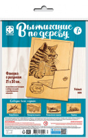 Доска для выжигания Ученый кот 30*21см 364202