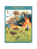 Парциальная программа "Юный эколог" Плакат Пожар в лесу