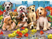 Пазлы 48 деталей Лучшие Друзья 3D Who Dunit