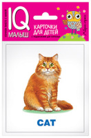 Карточки умный малыш English Домашние питомцы 11 цветных карточек