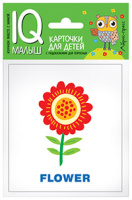 Карточки умный малыш English Растения 15 цветных карточек
