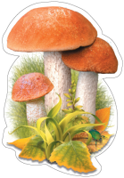 Украшение Гриб подосиновик двухстороннее А7 М-17005